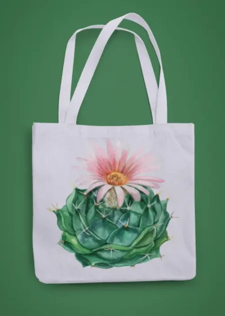 Belezas da Natureza (Cactos)